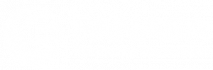 Logo-Fanasa-Blancos