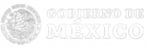 Logo- gobierno-de-México-blancos