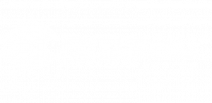 Arismex blancos